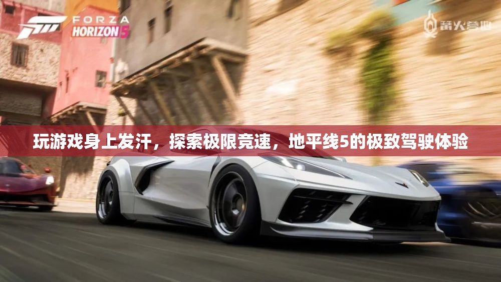 地平線(xiàn)5極致駕駛體驗(yàn)，競(jìng)速極限，汗水與激情的碰撞