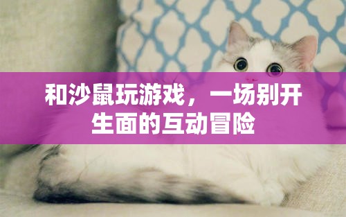 沙鼠游戲，一場別開生面的互動冒險