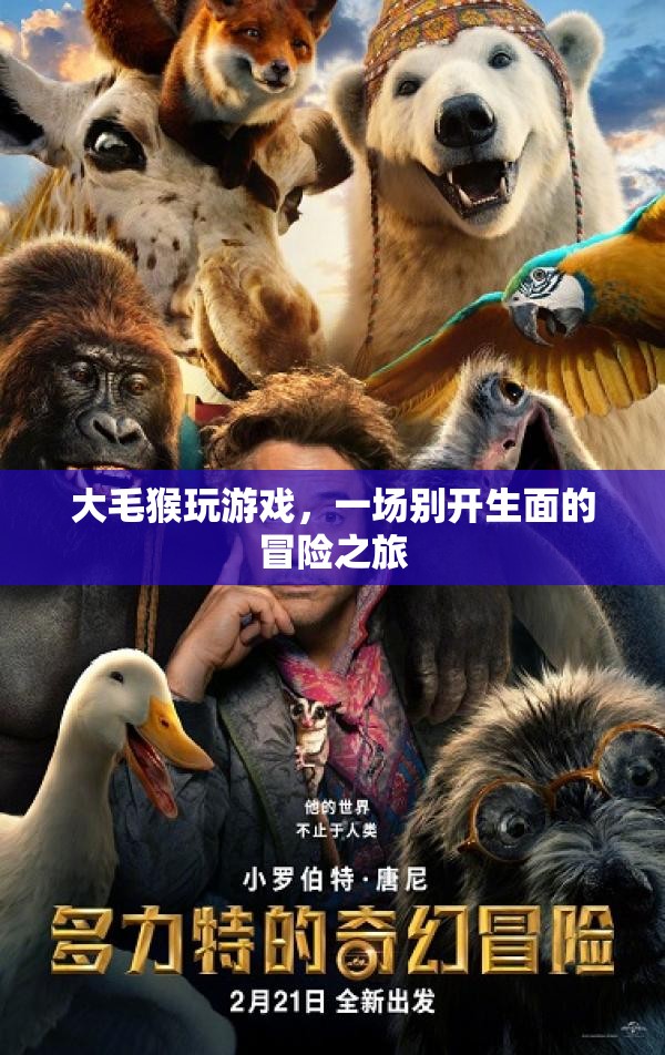 大毛猴的冒險游戲之旅