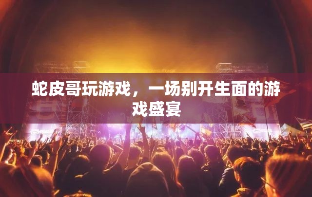 蛇皮哥游戲盛宴，獨(dú)特體驗(yàn)，精彩紛呈