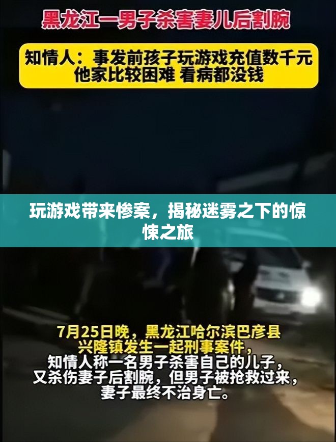 揭秘，玩游戲引發(fā)的驚悚慘案之旅