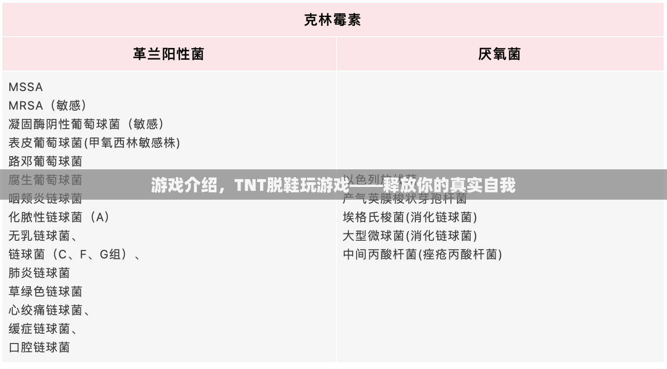 TNT脫鞋玩游戲，釋放真實(shí)自我