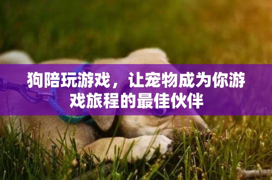 狗狗陪你玩游戲，寵物成為游戲旅程的最佳伙伴
