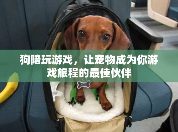 狗狗陪你玩游戲，寵物成為游戲旅程的最佳伙伴