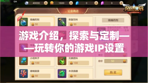 探索與定制，玩轉(zhuǎn)你的游戲IP設(shè)置