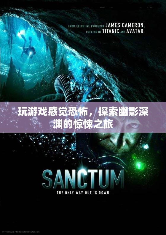 探索幽影深淵，一場(chǎng)令人毛骨悚然的驚悚之旅