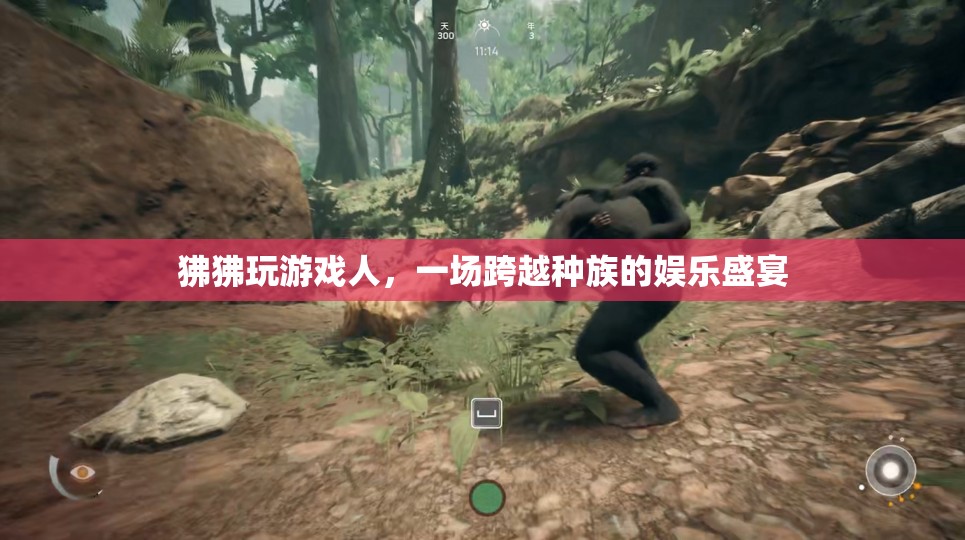 狒狒玩游戲人，跨越種族的娛樂盛宴