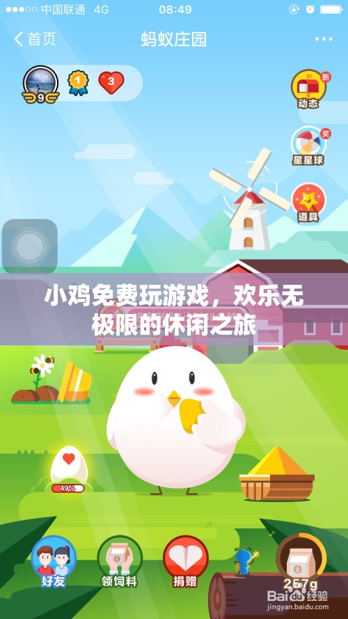 小雞歡樂(lè)游，免費(fèi)游戲，盡享休閑之旅