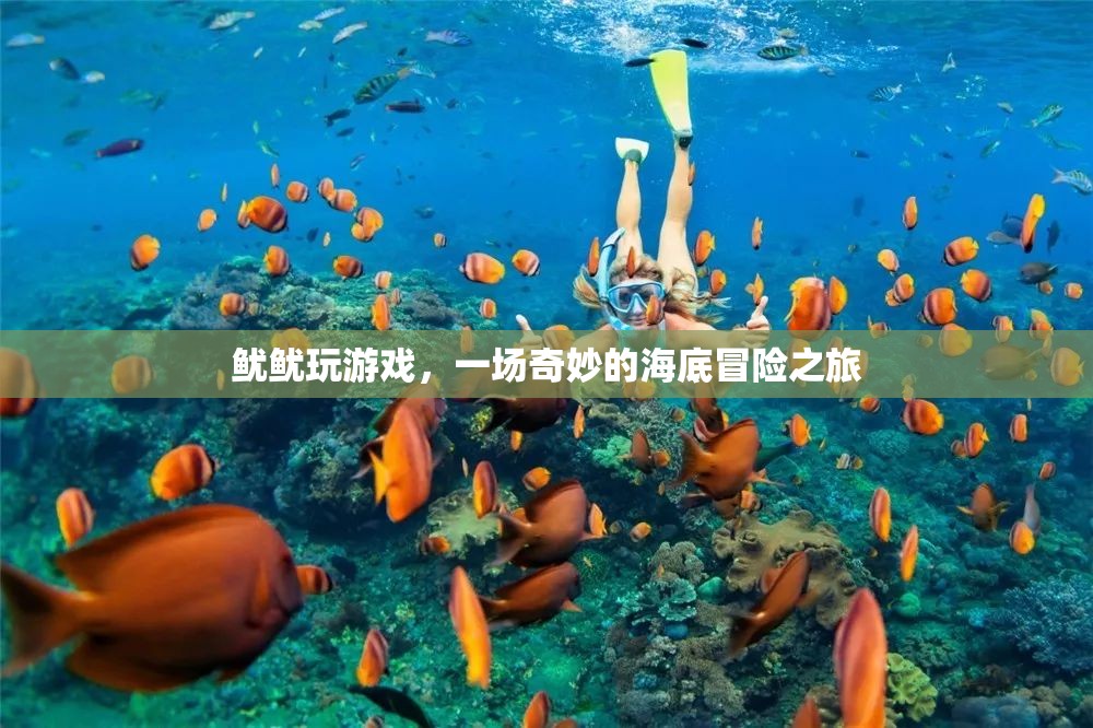 魷魷海底冒險(xiǎn)，奇妙游戲之旅