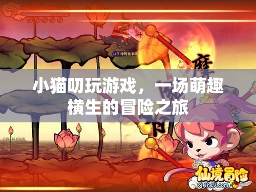 小貓叨玩游戲，萌趣橫生的冒險之旅