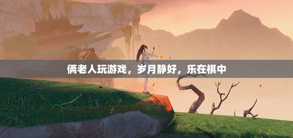 倆老人樂(lè)在棋中，歲月靜好