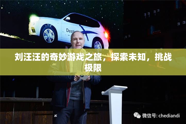 劉汪汪的奇妙冒險(xiǎn)，探索未知，挑戰(zhàn)游戲極限