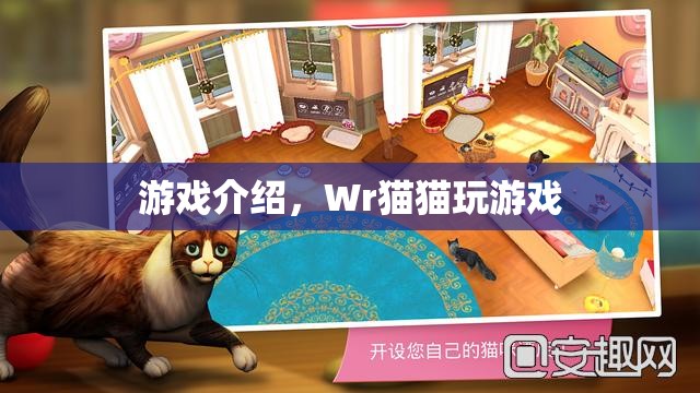 Wr貓貓玩游戲，趣味橫生的游戲世界等你來(lái)探索
