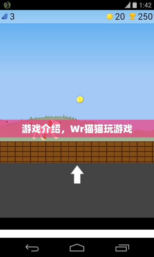 Wr貓貓玩游戲，趣味橫生的游戲世界等你來(lái)探索