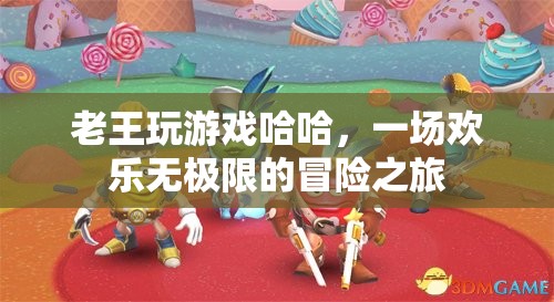 一場(chǎng)歡樂無極限的冒險(xiǎn)之旅，老王的游戲之旅