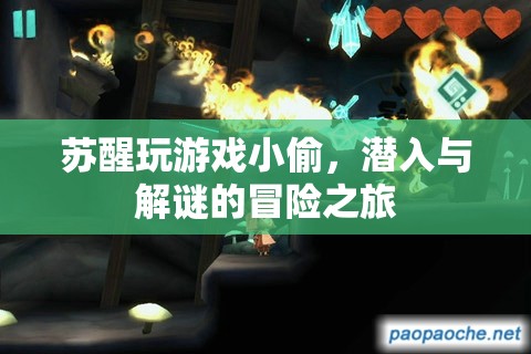 蘇醒的冒險(xiǎn)，潛入與解謎的小偷游戲之旅