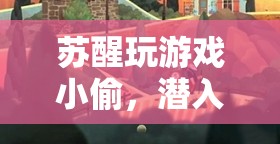 蘇醒的冒險(xiǎn)，潛入與解謎的小偷游戲之旅
