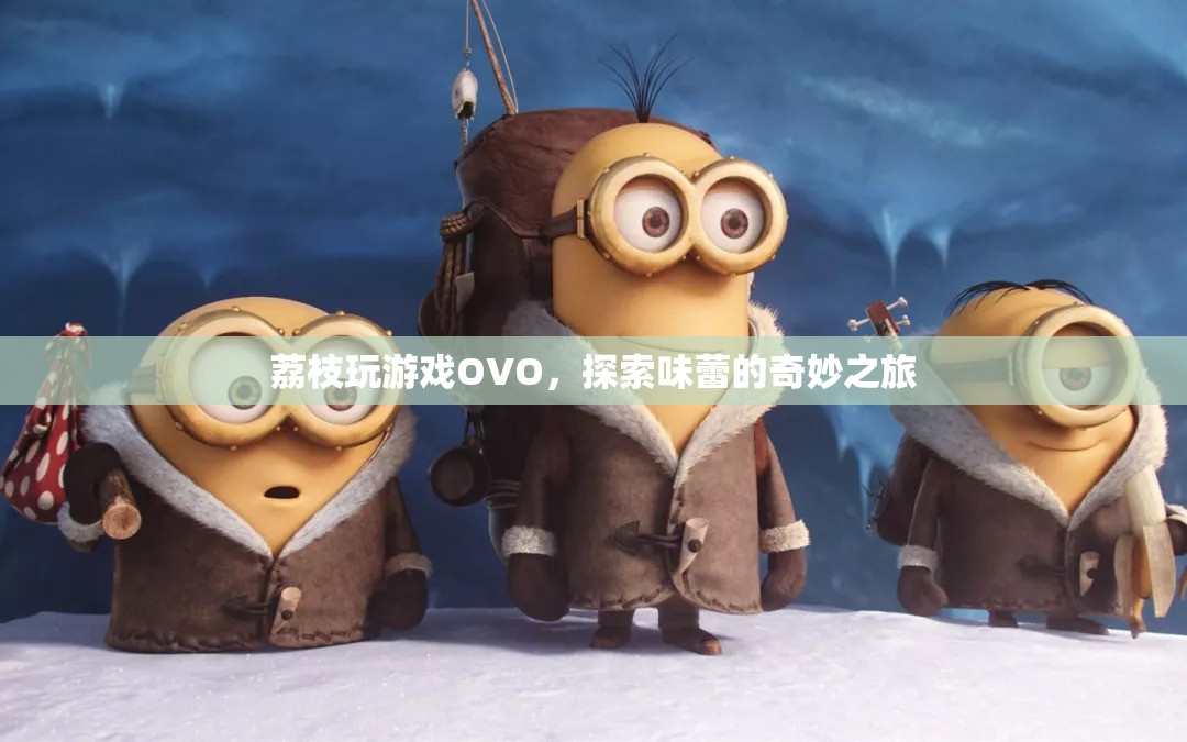 探索味蕾的奇妙之旅，荔枝玩游戲OVO