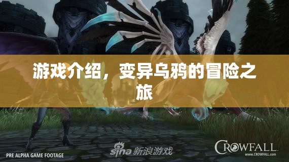 變異烏鴉的奇幻冒險(xiǎn)之旅