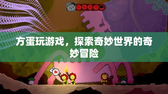 方蛋的奇妙冒險，探索游戲世界的奇妙之旅