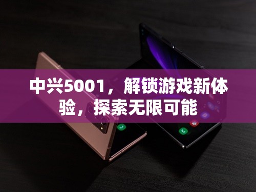中興5001，解鎖游戲新體驗(yàn)，探索無(wú)限可能