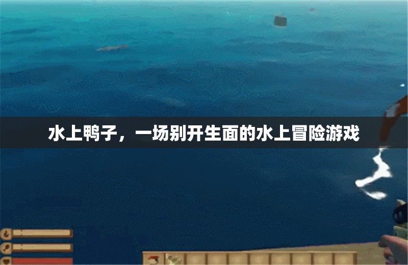 水上鴨子，一場(chǎng)別開(kāi)生面的水上冒險(xiǎn)