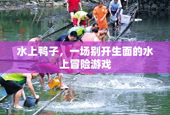 水上鴨子，一場(chǎng)別開(kāi)生面的水上冒險(xiǎn)