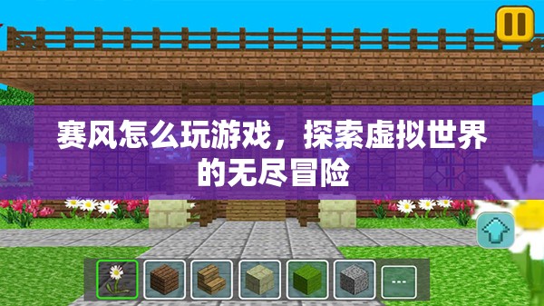 賽風(fēng)，探索虛擬世界的無盡冒險