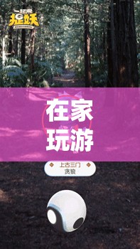 在家玩游戲30，探索虛擬世界的無限樂趣