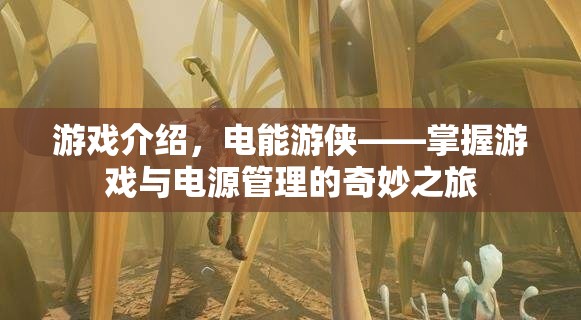 電能游俠，掌握游戲與電源管理的奇妙之旅