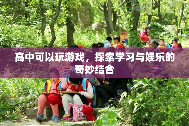 高中游戲，探索學習與娛樂的奇妙結合