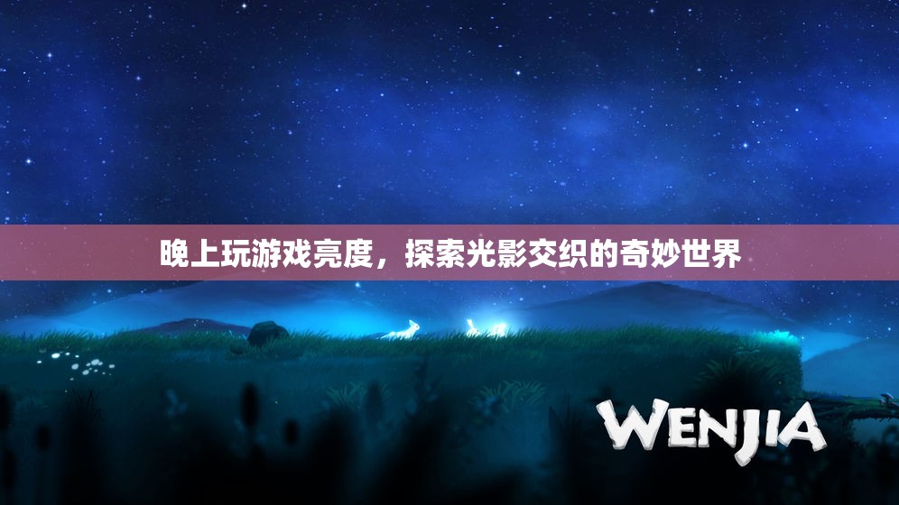 探索光影交織的奇妙世界，晚上玩游戲亮度