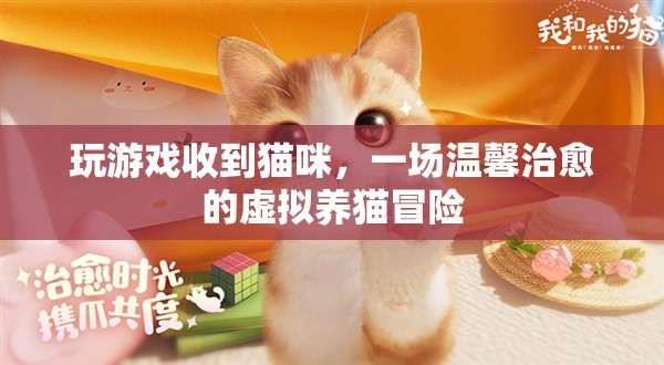 虛擬養(yǎng)貓冒險(xiǎn)，在游戲中收獲溫馨治愈的貓咪陪伴