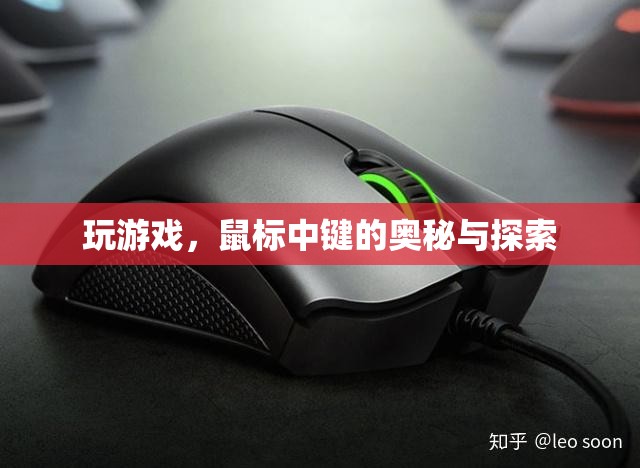 鼠標中鍵，游戲探索的奧秘與技巧