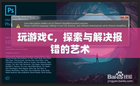 探索與解決游戲C中的報(bào)錯(cuò)藝術(shù)