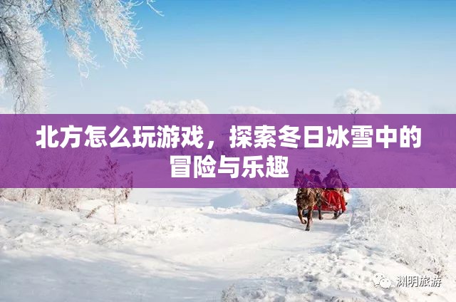 冬日冰雪冒險，北方游戲探索之旅