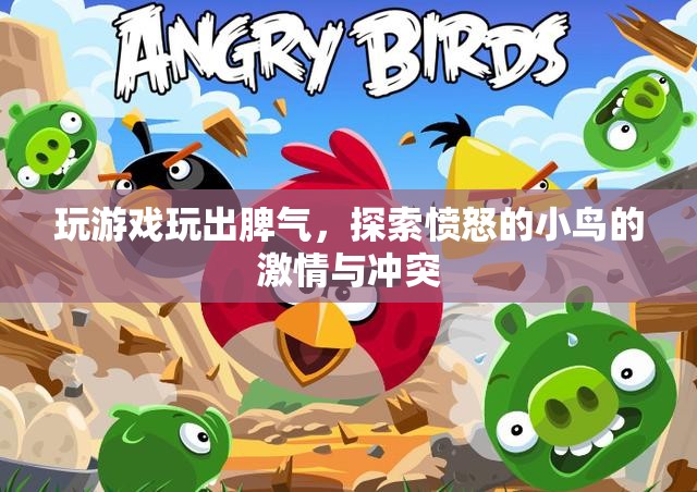 憤怒的小鳥，游戲背后的激情與沖突