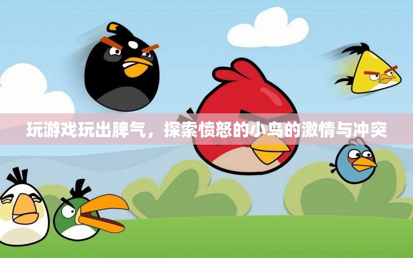 憤怒的小鳥，游戲背后的激情與沖突