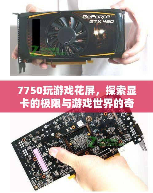 7750顯卡游戲花屏，探索顯卡極限與游戲奇遇