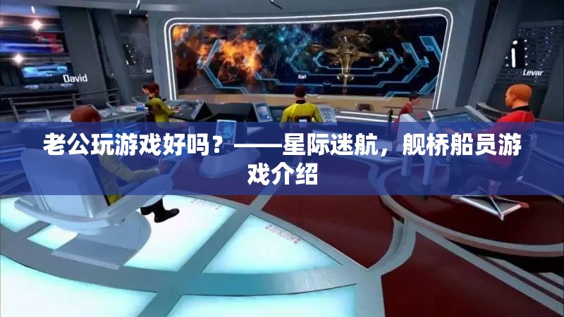 星際迷航，艦橋船員游戲，老公玩游戲的絕佳選擇！