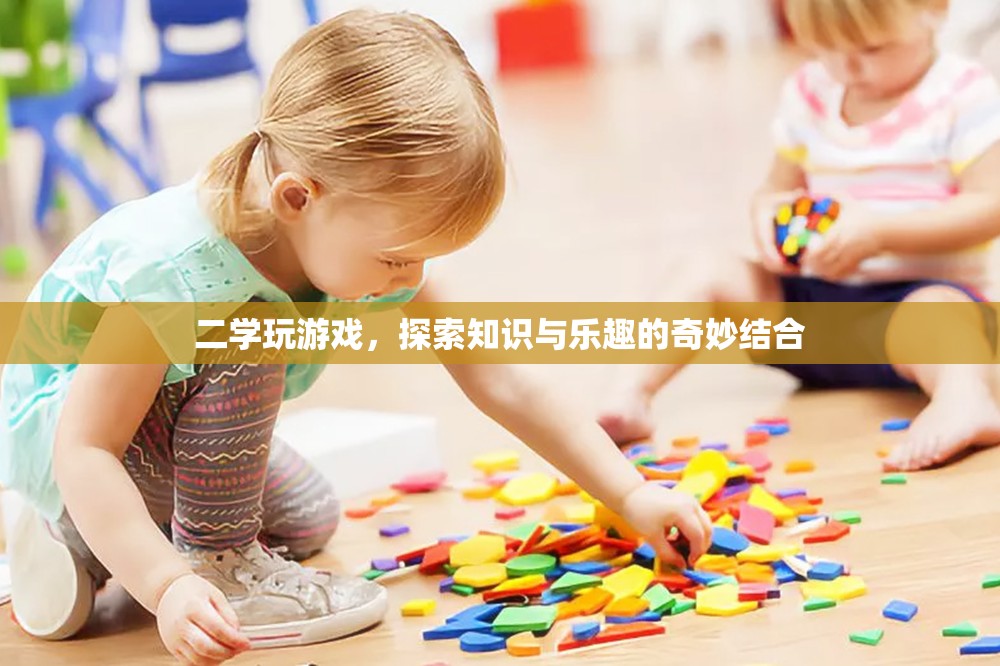 探索知識(shí)與樂趣的奇妙結(jié)合，二學(xué)玩游戲