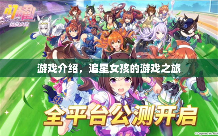 追星女孩的游戲之旅，探索虛擬世界的娛樂(lè)盛宴