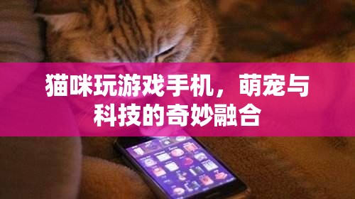貓咪玩轉(zhuǎn)手機(jī)游戲，萌寵與科技的溫馨互動