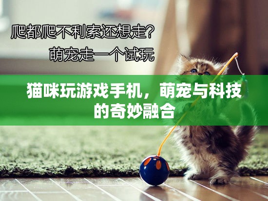貓咪玩轉(zhuǎn)手機(jī)游戲，萌寵與科技的溫馨互動