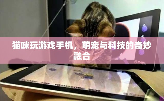 貓咪玩轉(zhuǎn)手機(jī)游戲，萌寵與科技的溫馨互動