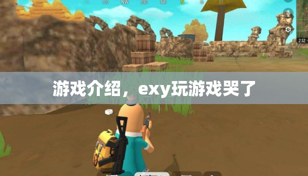 exy玩游戲感動落淚，游戲魅力何在？