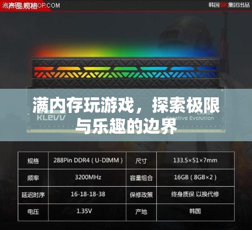 探索游戲樂趣的邊界，滿內(nèi)存挑戰(zhàn)游戲體驗(yàn)