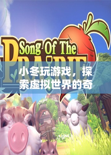 小冬的虛擬世界奇妙之旅