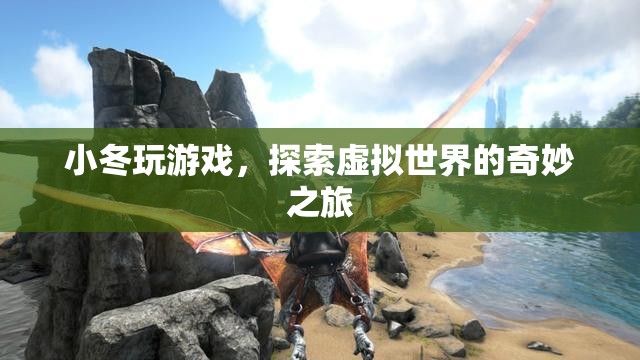 小冬的虛擬世界奇妙之旅