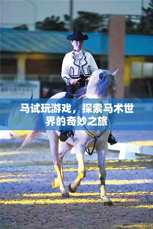 探索馬術世界的奇妙之旅，馬試玩游戲  第1張